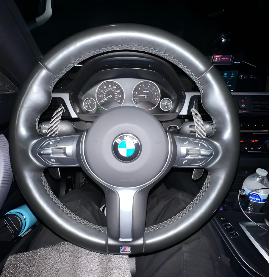 F Chassis Magnetic Paddle Shifters